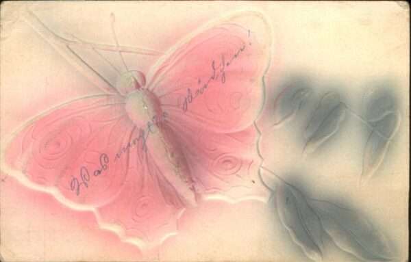 Schmetterlinge