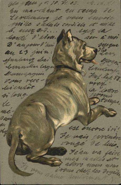Hunde
