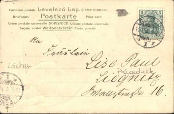 Hunde – Bild 2