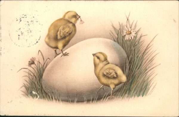 Ostern Easter Paques Küken Osterei
