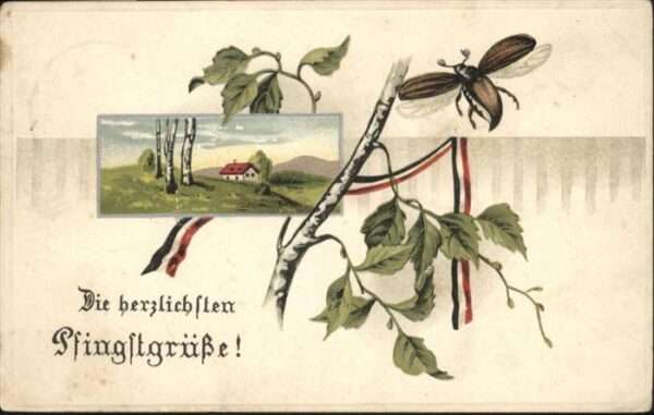 Schwarz Weiss Rot Maikäfer Pfingsten