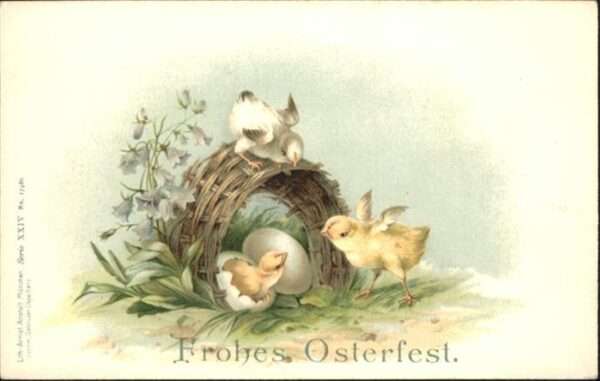 Ostern Easter Paques Küken