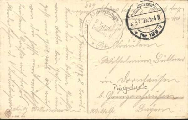 Voegel – Bild 2