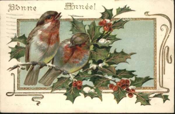 Neujahr Vögel