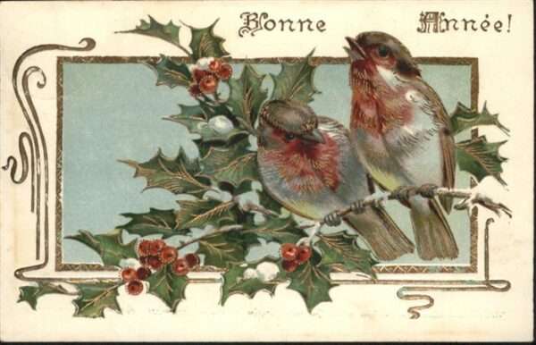 Neujahr Vögel