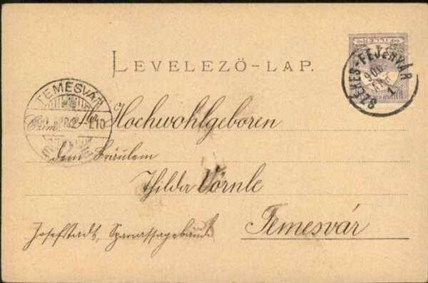 Engel Kleeblätter Marienkäfer – Bild 2
