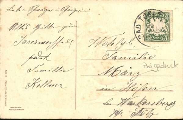Hirsch Neujahr – Bild 2