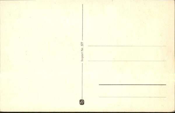Neujahr Auto – Bild 2