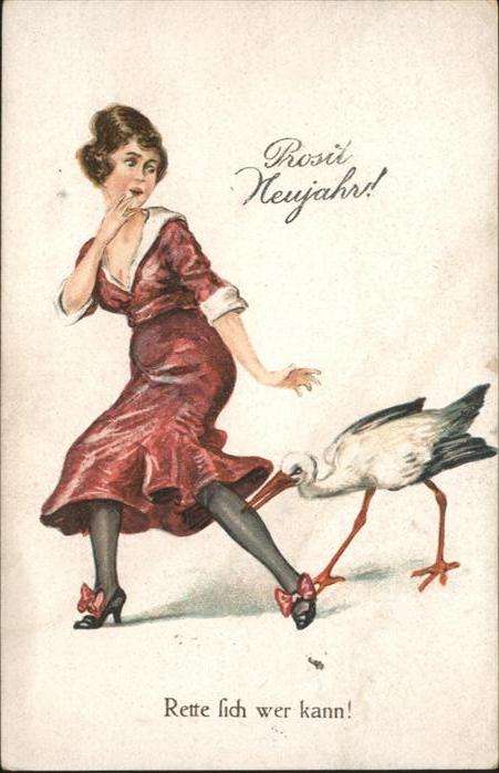 Neujahr Storch