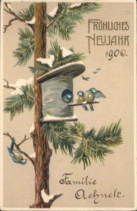 Neujahr Vogelhaus Vögel