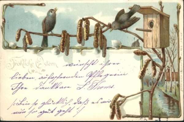 Ostern Easter Paques Vögel Vogelhaus