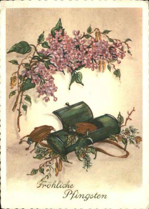 Maikaefer Cockchafer Hanneton Pfingsten