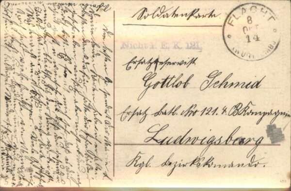 Tauben Brieftauben Blumen – Bild 2