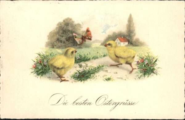 Ostern Easter Paques Küken Schmetterling