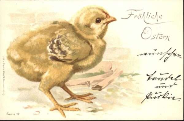 Ostern Easter Paques Küken