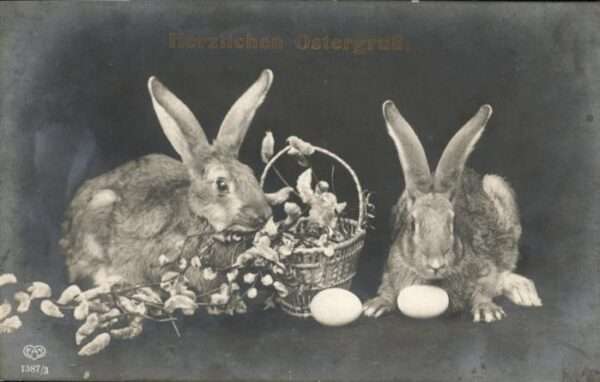 Ostern Easter Paques Hasen