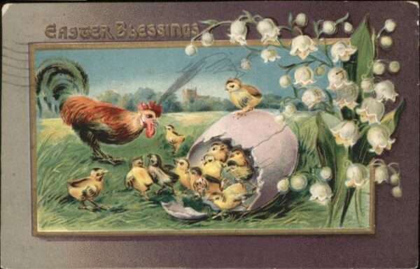 Ostern Easter Paques Geflügel Küken