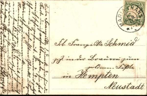 Voegel Schwalbe – Bild 2