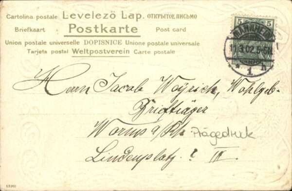 Trompeter Scheffel – Bild 2