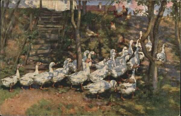 Voegel Gänse
