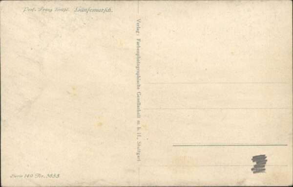 Voegel Gänse – Bild 2
