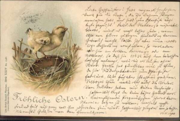 Ostern Easter Paques Küken