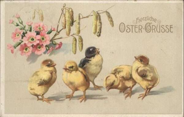 Ostern Easter Paques Küken