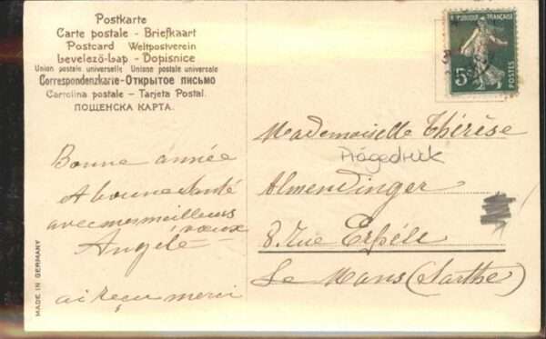 Tauben Neujahr – Bild 2