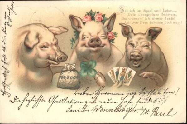 Schweine