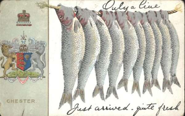 Wappen Chester Fische
