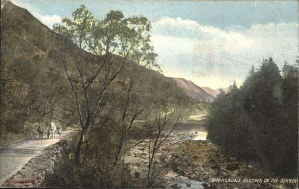 Keswick Borrowdale Beeches
Derwent