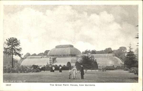 Kew London Great Palm House
Kew Gardens
