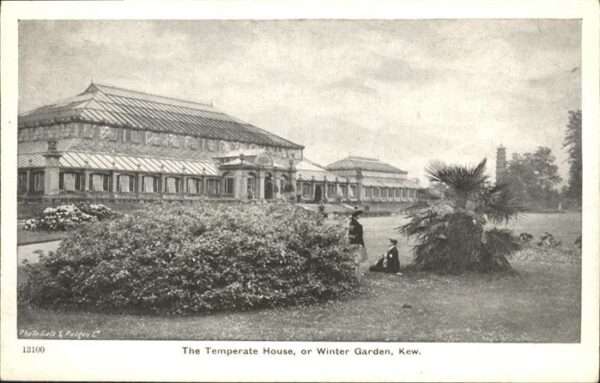 Kew London Temperate House
Winter Garden