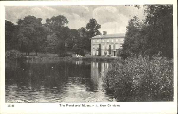 Kew London Pond
Museum Kew Gardens