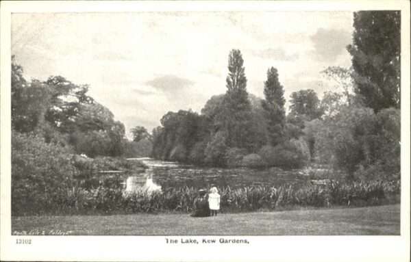 Kew London Lake
Kew Gardens