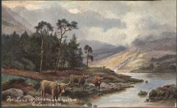 Bromley London Streams and Heather