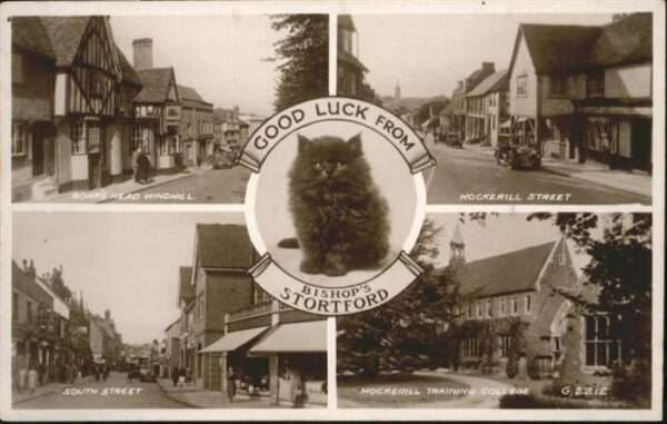Stortford Mockerill Street Boars Head Windhill
s