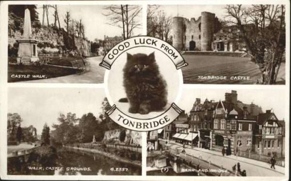 Tonbridge & Malling Castle Walk Katze Castle