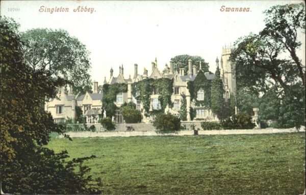 Swansea Singleton Abbey