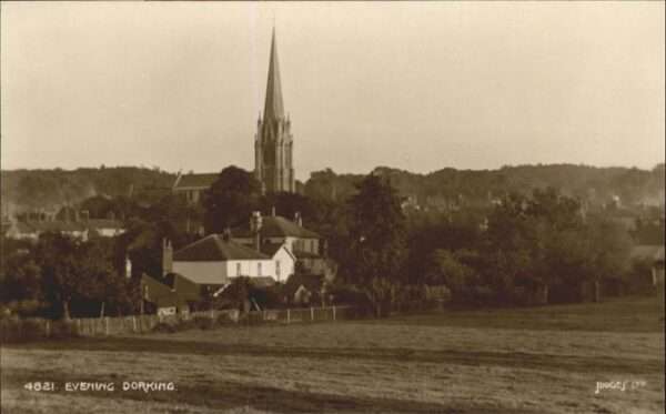 Dorking Mole Valley