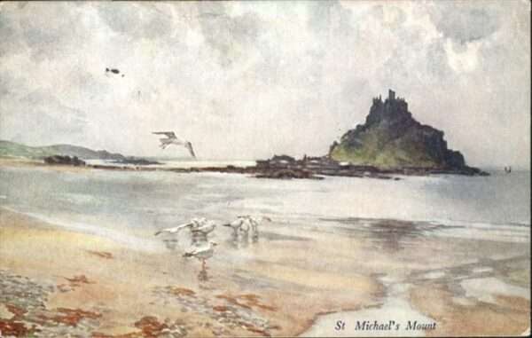 Saint Michaels Mount Möwe