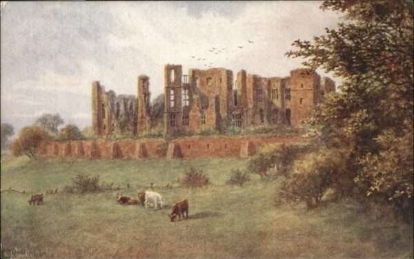 Kenilworth Grossbritannien Kühe Kenilworth Castle