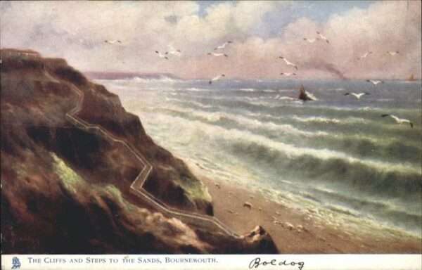 Bournemouth Cliffs Möwen