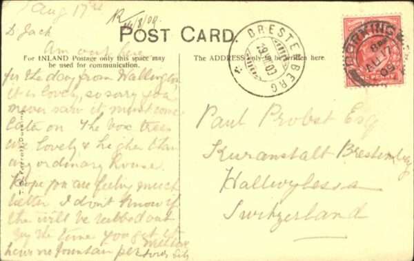 Box Hill & Headley Zig Zag – Bild 2