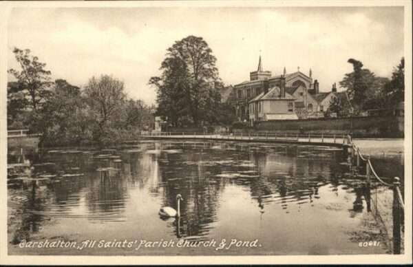 Carshalton Church Pond Schwan