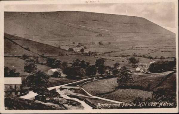 Pendle Barley