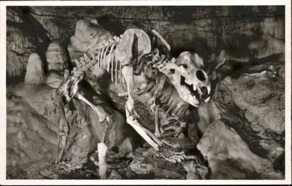 Hoehlen Caves Grottes Bärenhöhle Karlshöhe