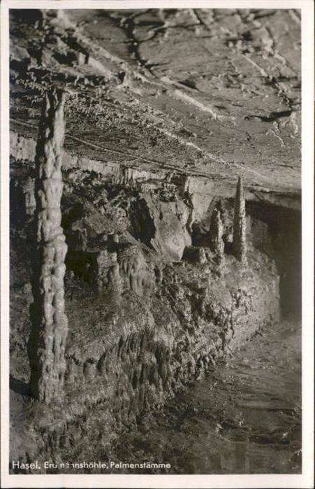 Hoehlen Caves Grottes Hasel Erdmannshöhle Palmenstämme Tropfs