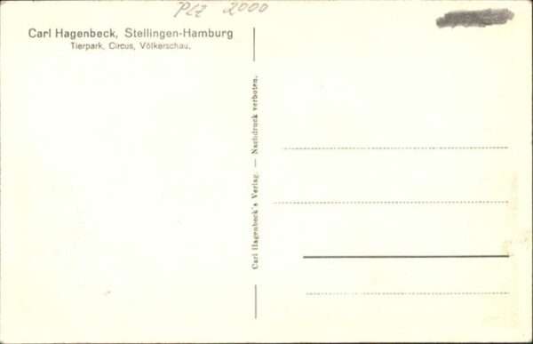 Voelkerschau Stellingen Hamburg Tierpark – Bild 2