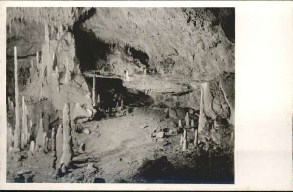 Hoehlen Caves Grottes Tropfstein Bärenhöhle Karlshöhle